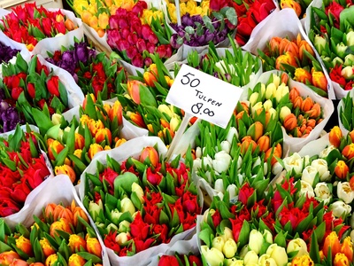 Amsterdam flower market