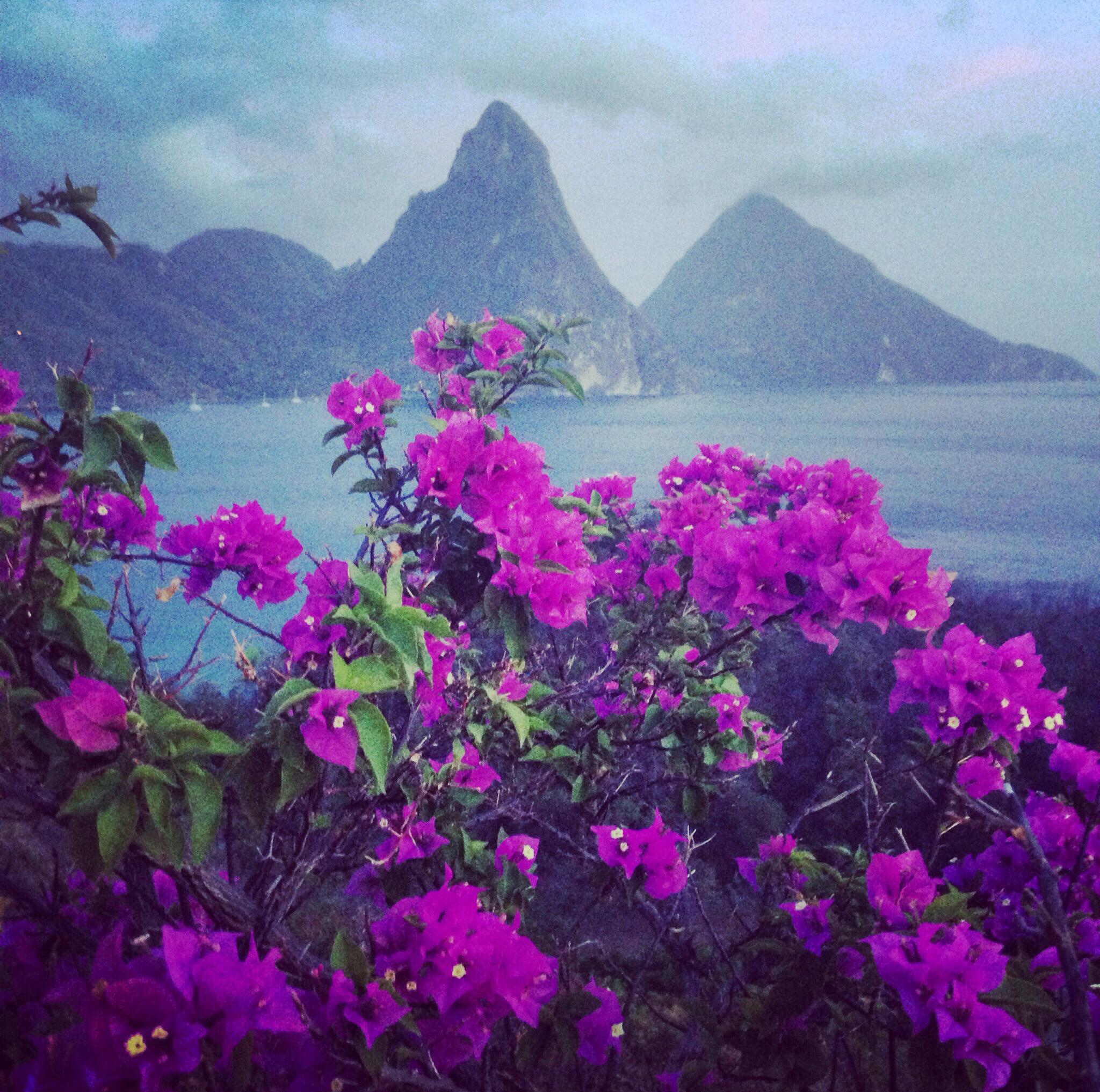 Jade Mountain